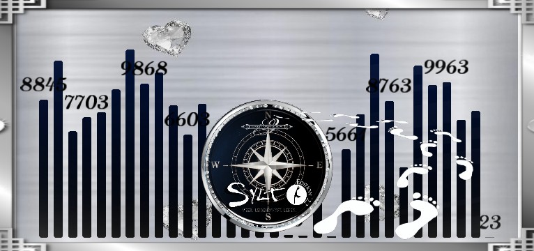 Schritte Sylt Sie  Compass 