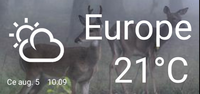weather