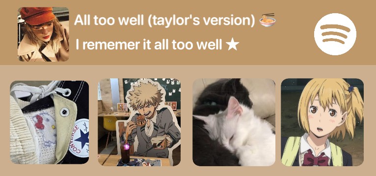 tay spotify widget