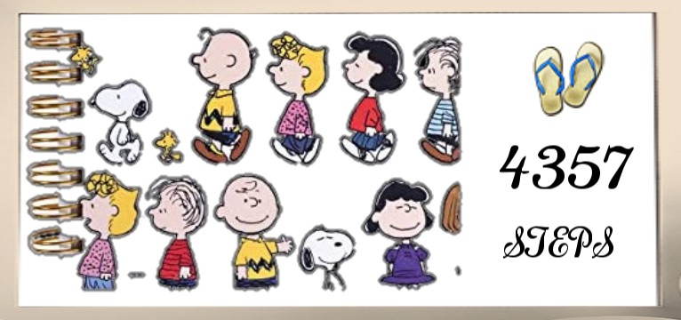 Step The Snoopy 