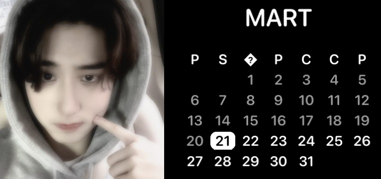 Date calendar Copy