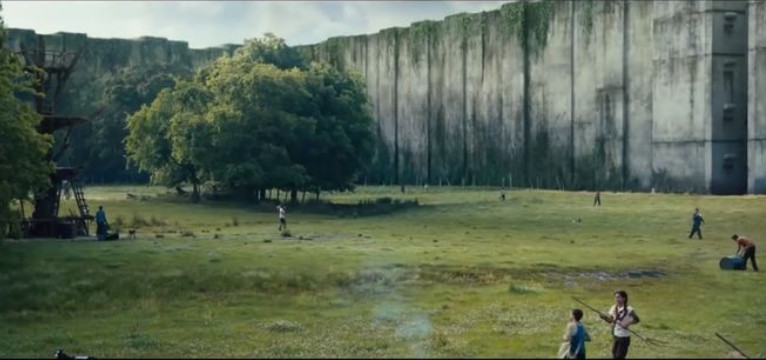 the maze runner