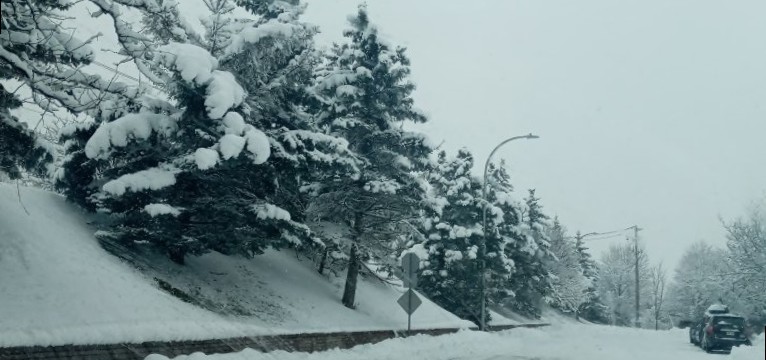 Snow