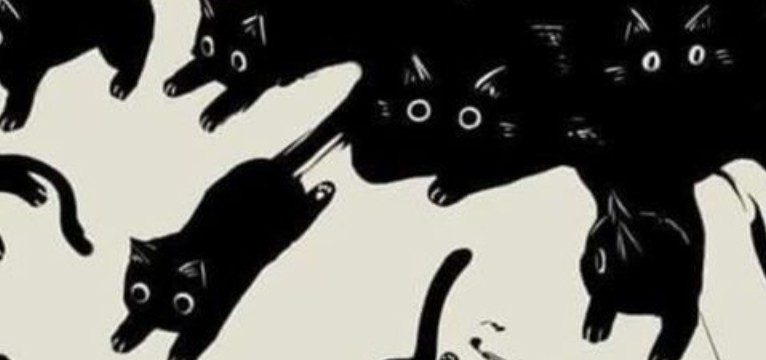 cat