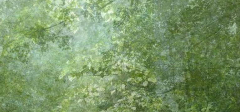 green widget