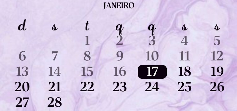 widget 5