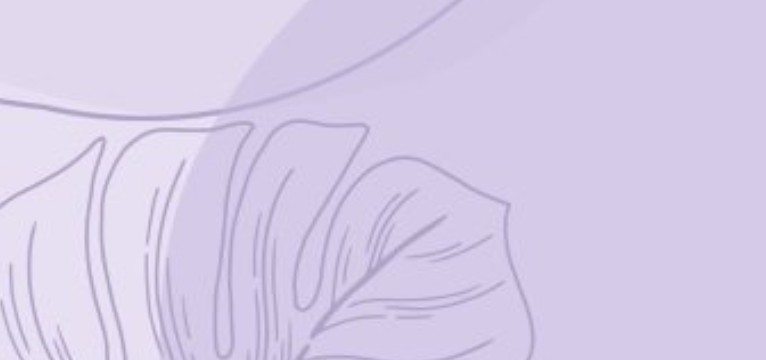 purple/violet widget