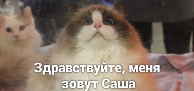 my name is