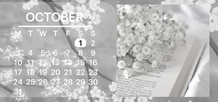 White Aesthetic Flowers Calendar & Date