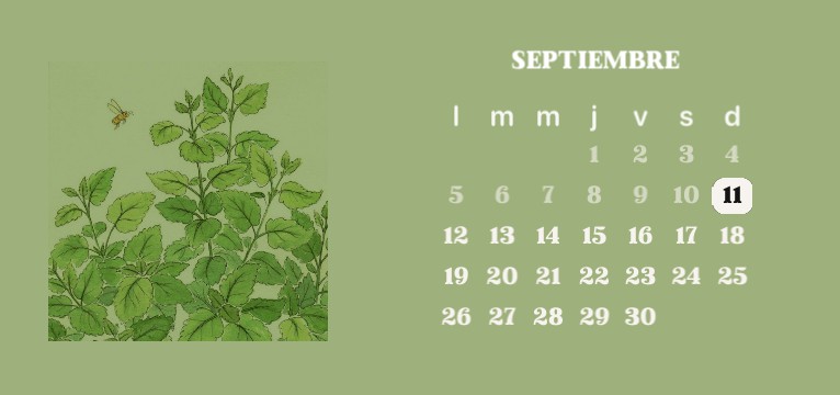  Calendar green 
