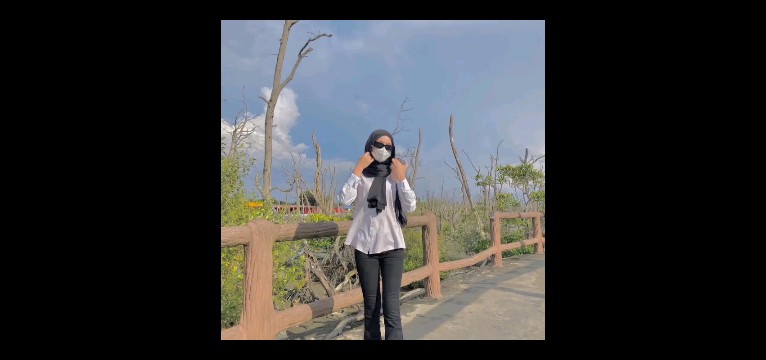 Untitled widget Copy
