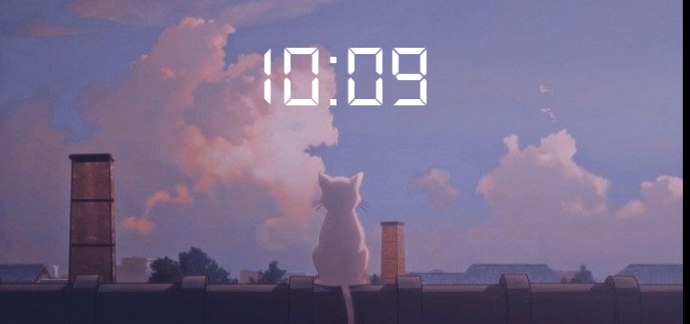 cat loking