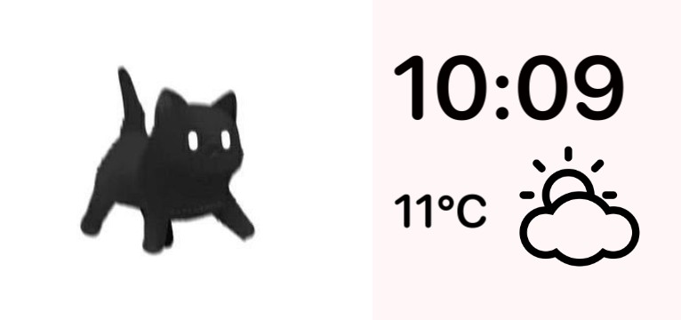 black cute cat