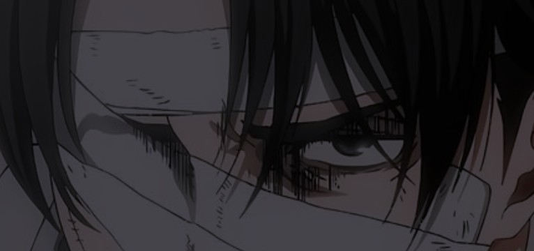 Levi ackerman AOT / Attack on titan
