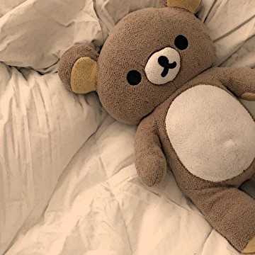 Bear 