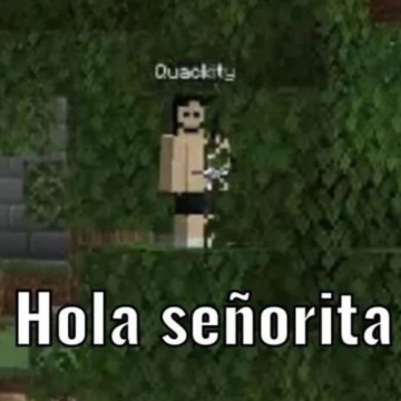 Quackity