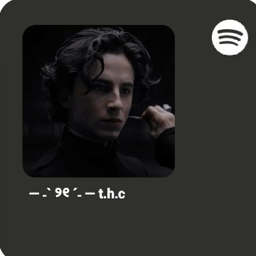 timothee hal chalamet spotify automatic