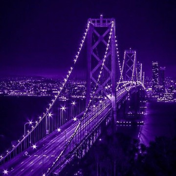 aesthetic