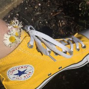 yellow widget