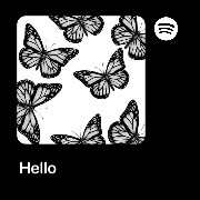 widget spotify