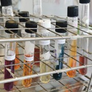 Biochemistry lab