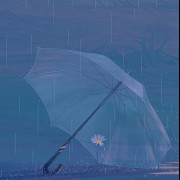umbrella 