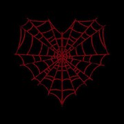 spider web read