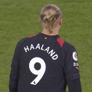HAALAND