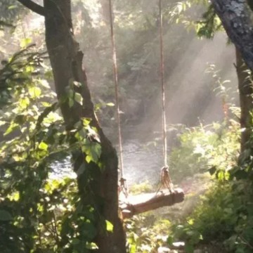 swing