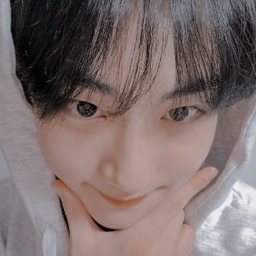 jungwon mini widget 
