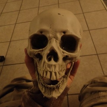 Skull