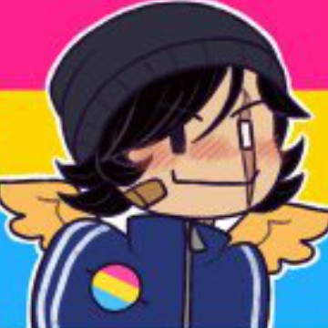 Quackity pansexual 