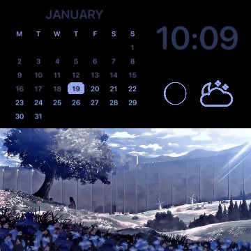 AOT theme widget