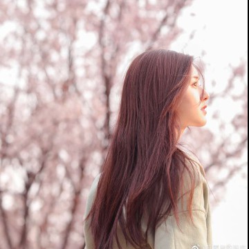 korea style sakura byirkham_lee