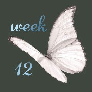 butterfly week