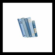 blue books