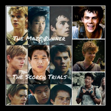 The maze runner