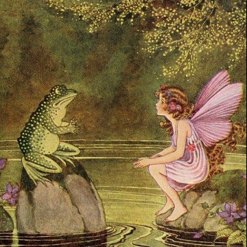 fairy and frog