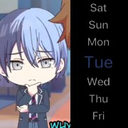 Toya
