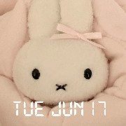 Miffy Date