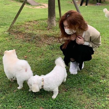 chaeryoung cutie Copy