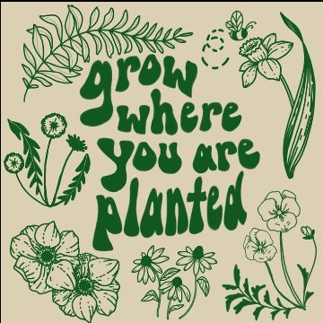 nature quote aesthetic