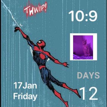 clock countdown day cat spidy
