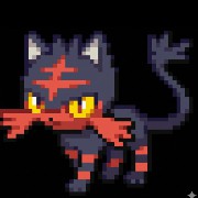 Litten pokemon 