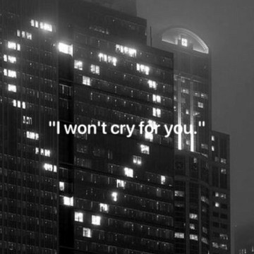 "I wont cry for you."