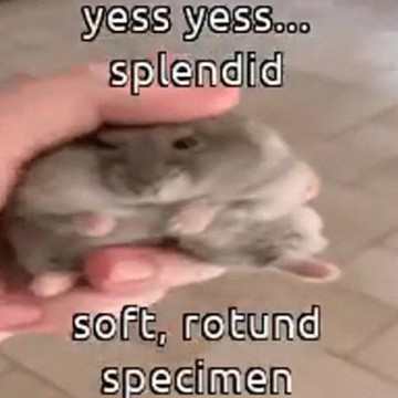 gdidgugiddyidyidyifyixjggxj