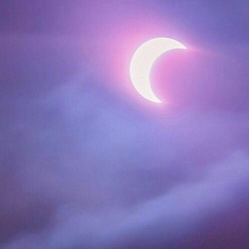 roxo 