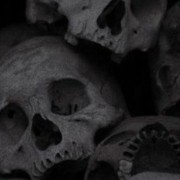 skull