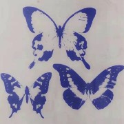 blue butterflies
