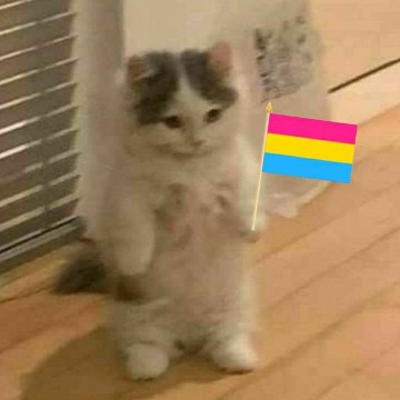 pansexual 